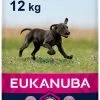 Eukanuba Dog Puppy & Junior - Grote Rassen - Kip - Droogvoer - 12 Kg