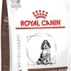 Royal Canin Gastro Intestinal Junior - Tot 12 Maanden - Hondenvoer - 10 Kg