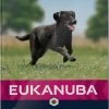 Eukanuba Dog Adult - Large Breed - Kip - Hondenvoer - 12 Kg