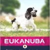 Eukanuba Dog Mature & Senior - Medium Breed - Kip - Hondenvoer - 15 Kg