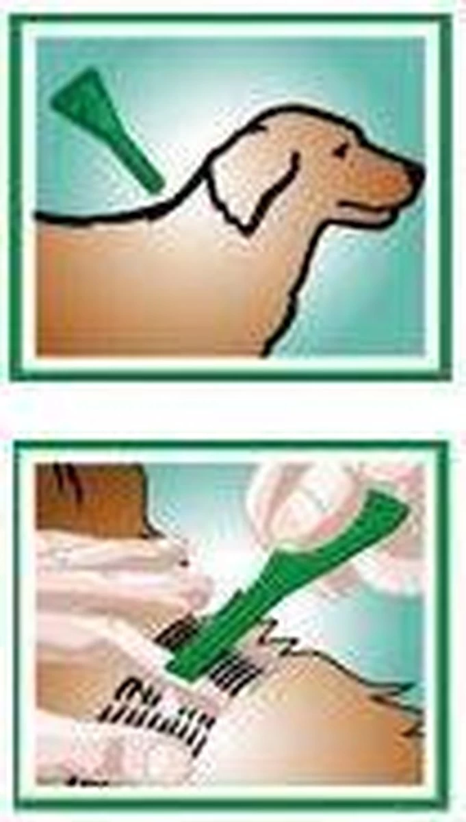 Frontline Combo - L: Van 20 Tot 40 Kg - Anti Vlooienmiddel En Tekenmiddel - Hond - 3 Pipetten - Afbeelding 10