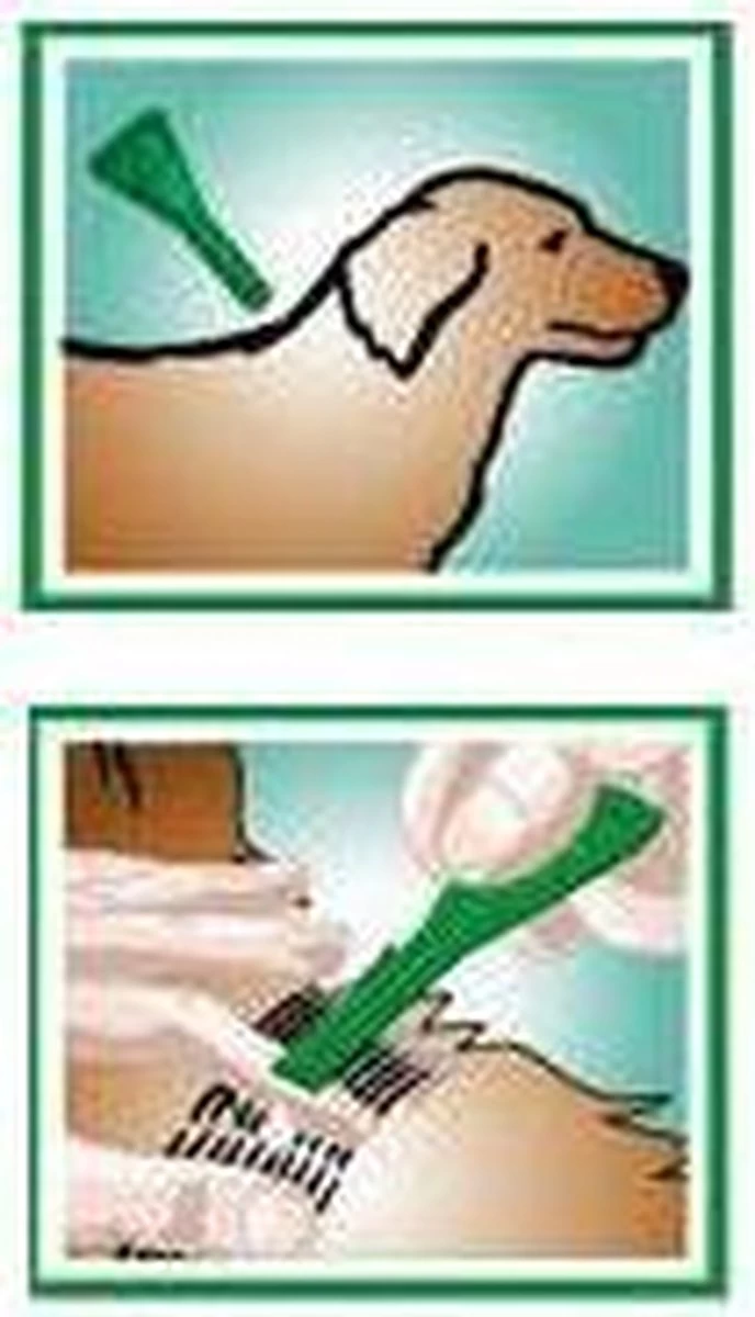 Beaphar Fiprotec Vlooien- En Tekenmiddel Hond 10-20 Kg - 4 Pipetten - Afbeelding 3