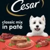 Cesar Classic Mix Paté Hondenvoer Maaltijdkuipjes 24 X 150 G
