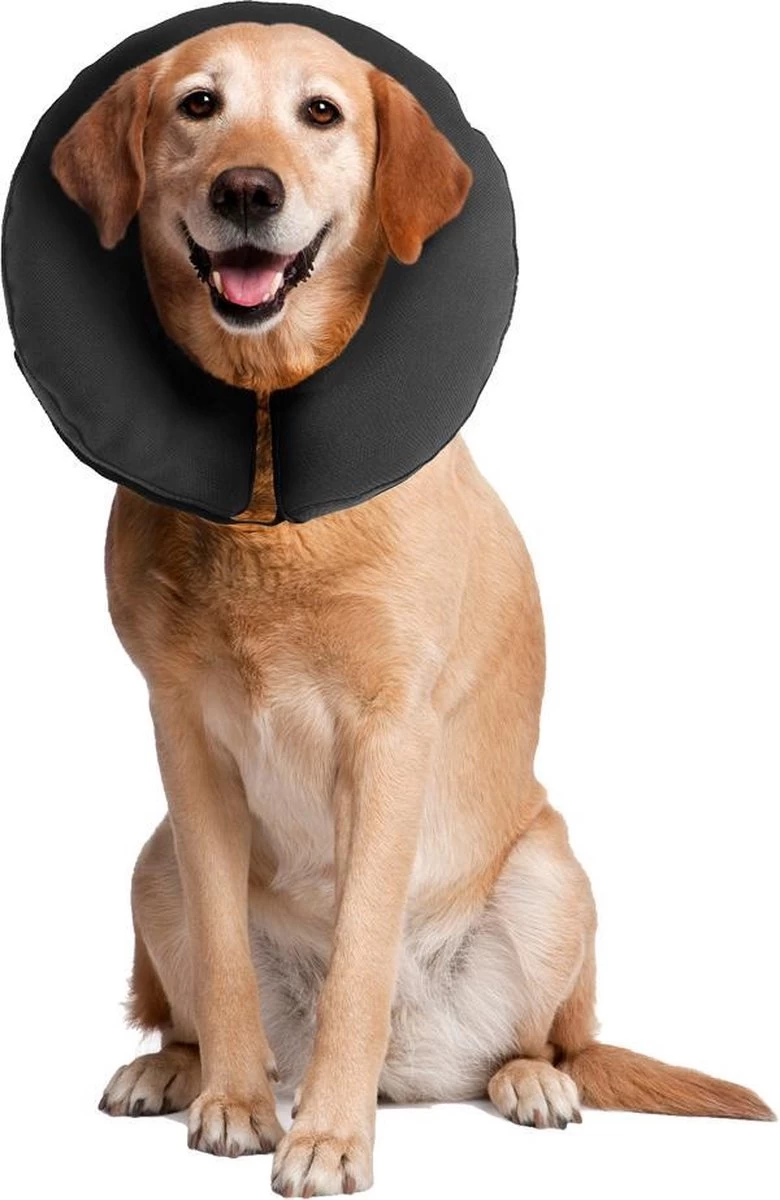 Zenpet ProCollar Hondenkraag XL – Hondenkraag – Beschermkraag Hond – Hondenkap Na Operaties – Zwart – Nek Omtrek 40.6 Tot 55.9cm - Afbeelding 3