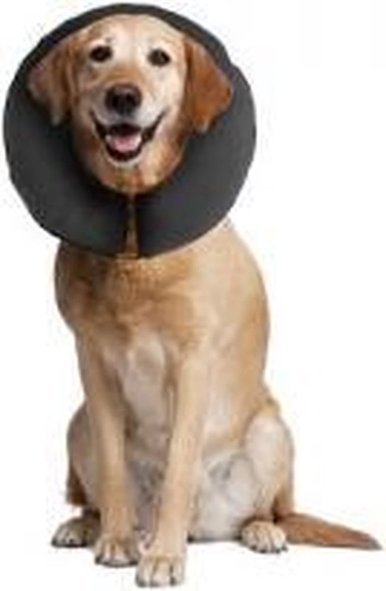 Zenpet ProCollar Hondenkraag XL – Hondenkraag – Beschermkraag Hond – Hondenkap Na Operaties – Zwart – Nek Omtrek 40.6 Tot 55.9cm - Afbeelding 4