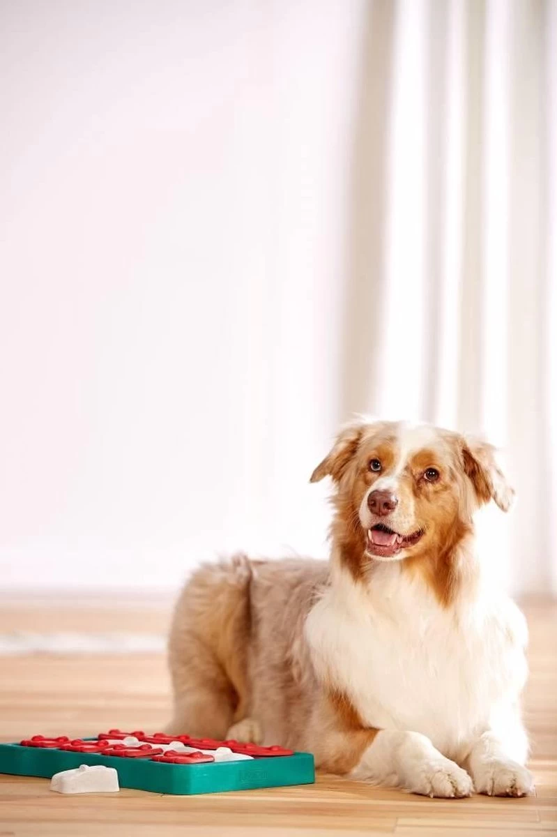 Nina Ottosson - Hondenspel - Dog Brick - Afbeelding 5