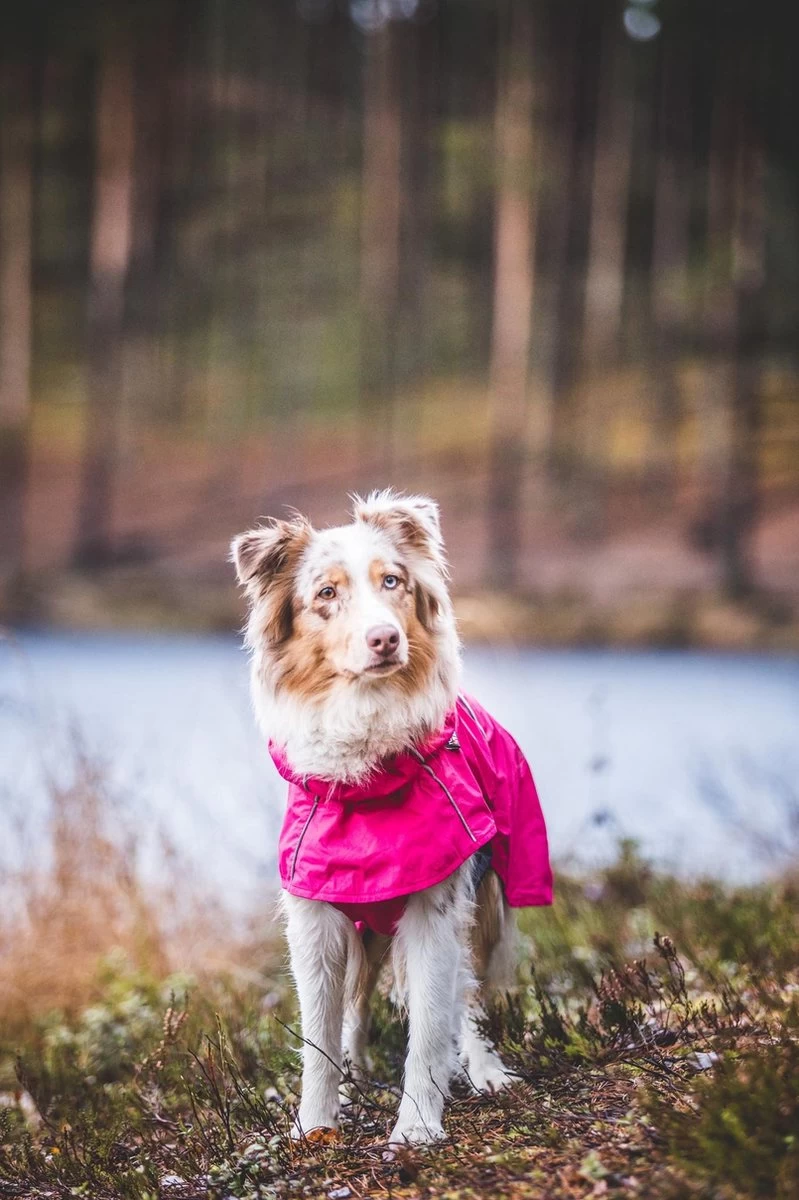 Rukka Pets Hase Raincoat - Lichtgewicht Hondenregenjas - In 2 Kleuren En 9 Maten - Kleur: Roze, Maat: Maat 40 - Afbeelding 7