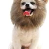 ZERO 90® Leeuwenmanen Hond - Kleding Voor Honden - Hondenmuts - Honden Kostuum - Honden Muts - Hondenoutfit - Hondenkleding - Kat Accessoires - Honden Outfit - Hondenspeeltjes