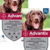 Bayer Advantix Vlooien & Teken Pipetten - Hond 25 Tot 40kg - 2 X 4 Stuks