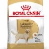 Royal Canin Labrador Retriever Adult 12 KG
