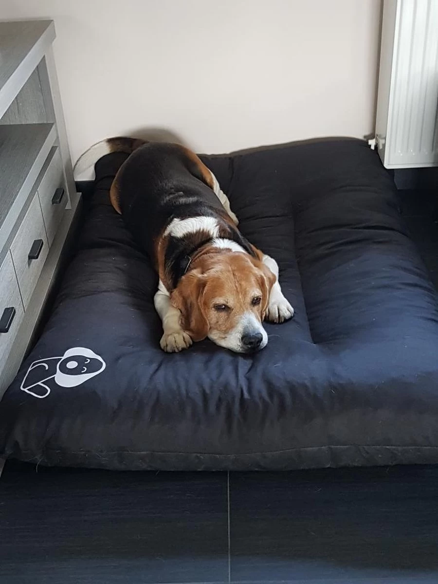 Hondenkussen XXXL -Donkergrijs - 85 X 120 X 14 - Afbeelding 6