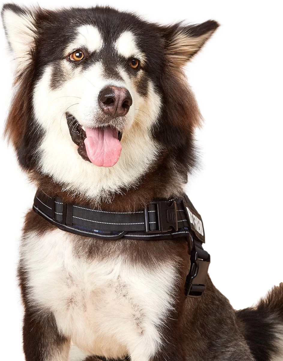 Woofy Hondentuig - Anti Trek - Hondenharnas - Reflecterend - Verstelbaar - Afbeelding 4