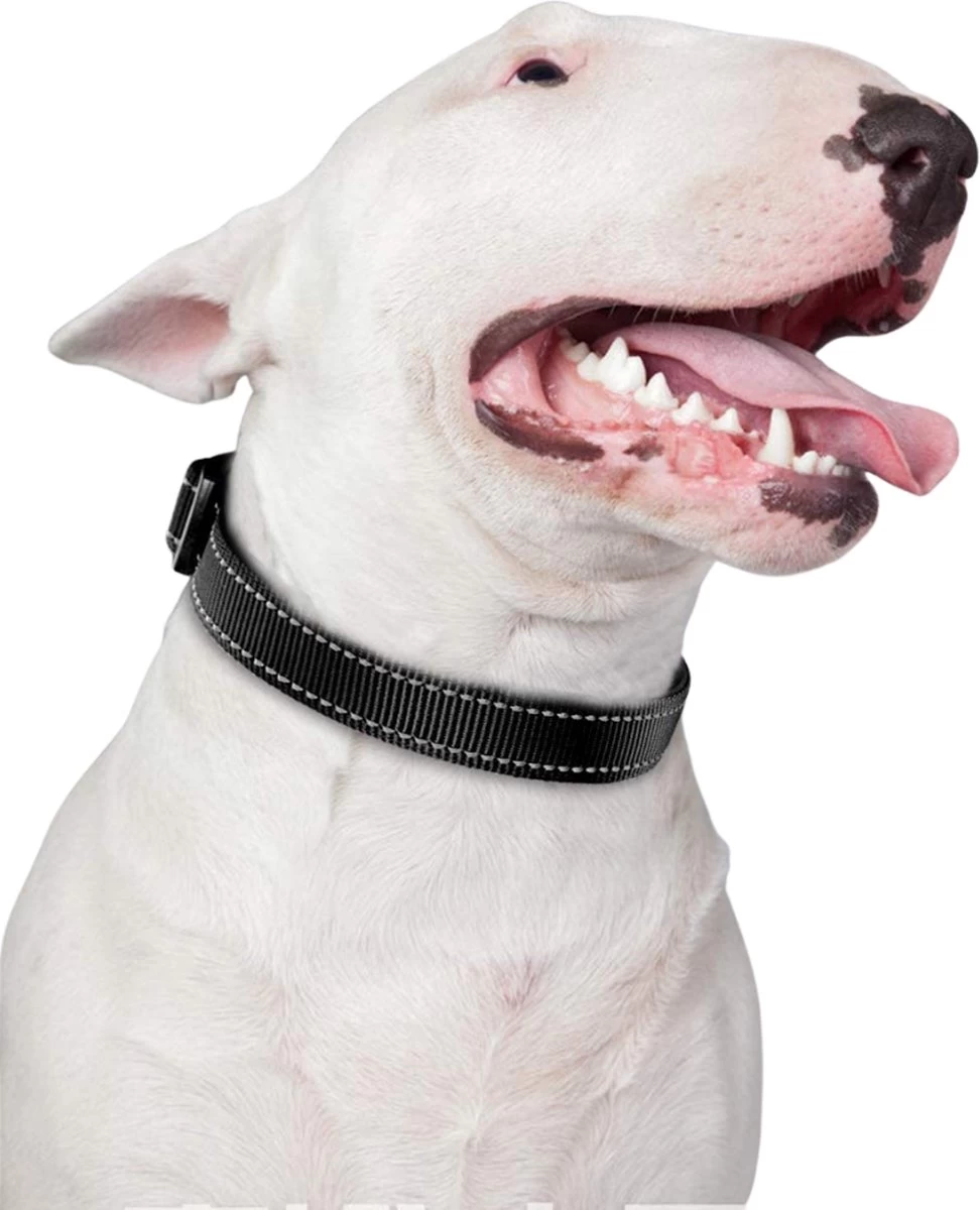Halsband Hond - Reflecterend - Zwart - Maat M - Oersterk - Waterdicht - Hondenhalsband - Met Veiligheidssluiting - Geschikt Voor Iedere Hondenriem - Voor Middelgrote Honden - Afbeelding 4
