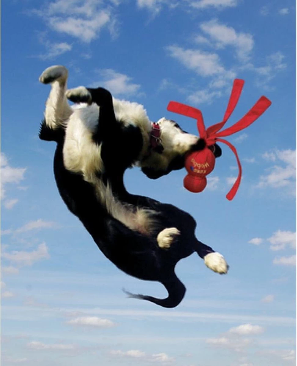 Kong Wubba XL - Piepend Speelgoed - Multi - Hondenspeelgoed - 273 X 151 X 83 Mm - Afbeelding 3