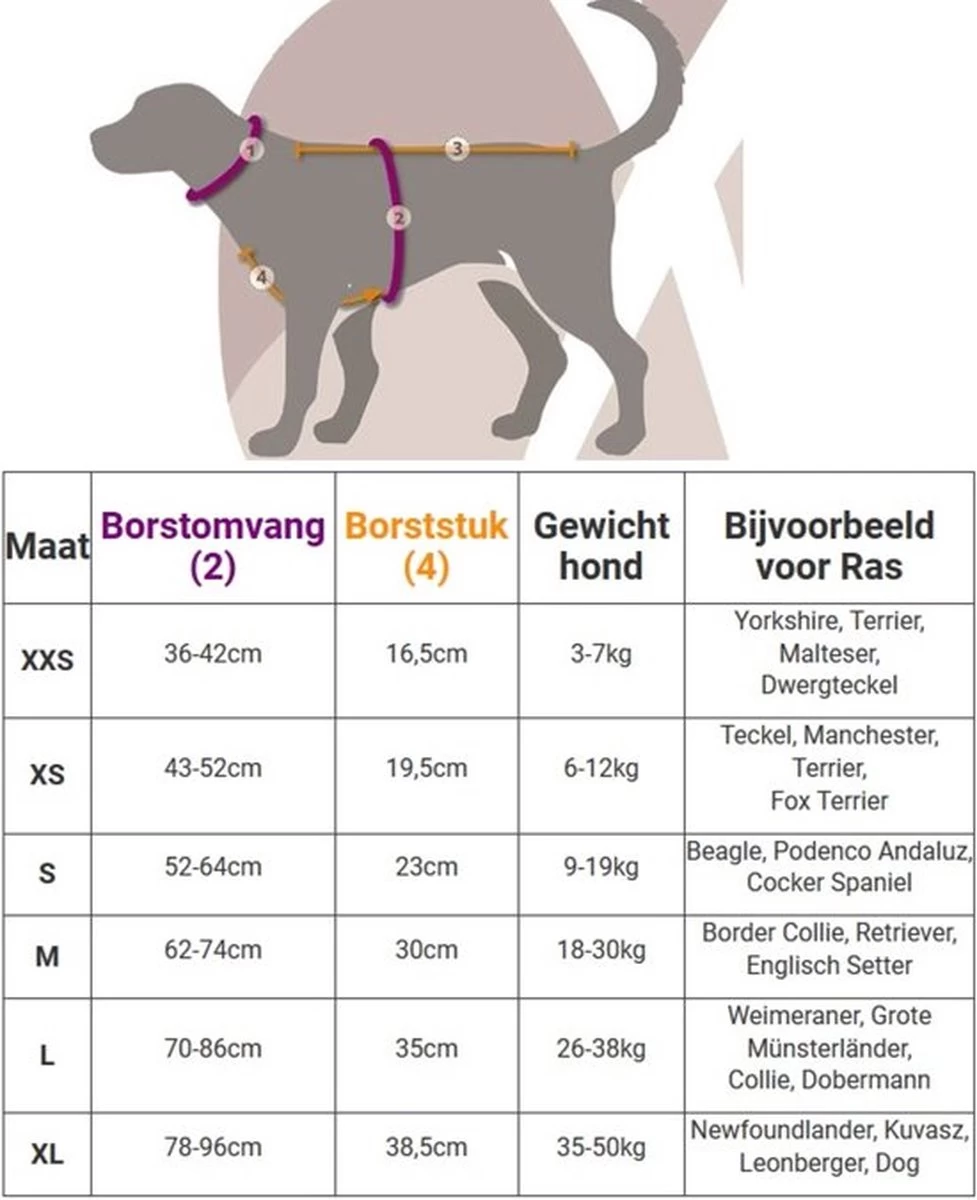 Anny.X Hondentuig Y Tuig Bruin Barnsteen Maat L Geschikt Voor Borstomvang 70-86cm - Afbeelding 6