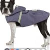 Bella & Balu Hondenregenjas - Waterdichte Hondenjas Met Capuchon En Reflectoren Voor Droge, Veilige Wandelingen, De Hondenspeeltuin En Vakanties Met Hond (S | Grijs)